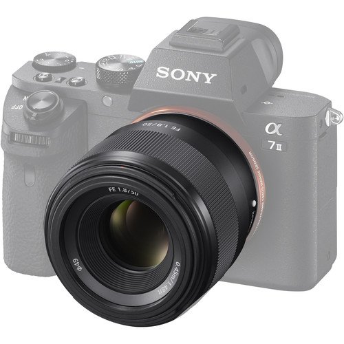 Sony FE 50mm f/1.8 mounted on an Alpha body ready for portraits