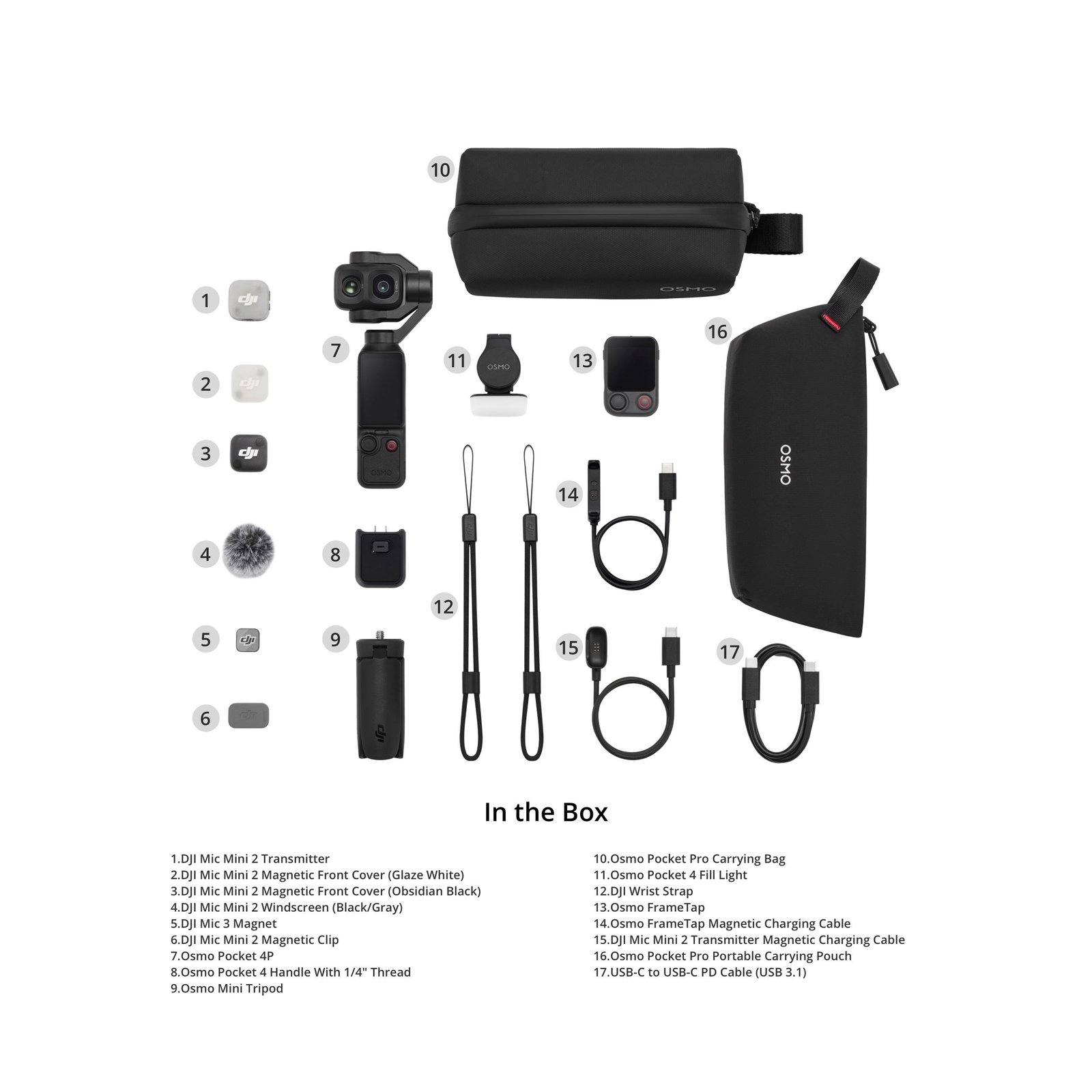 Top-down layout of the carrying bag, camera, microphone, and all included accessories in Lebanon.